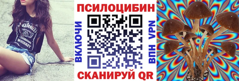 Галлюциногенные грибы мухоморы цена наркотик Высоковск